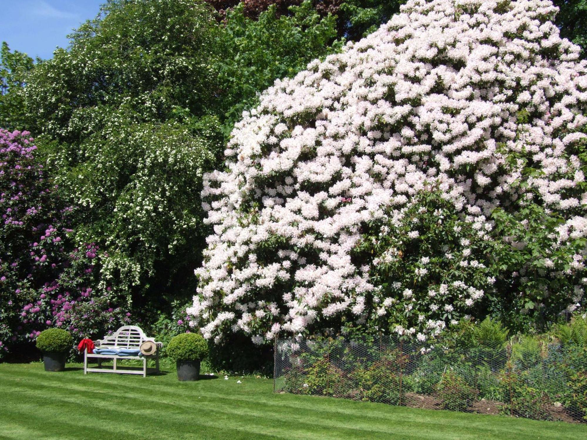 Kinloch House Hotel Blairgowrie and Rattray Екстер'єр фото